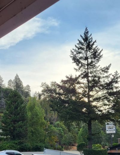 California Top Crop Cannabis, LLC