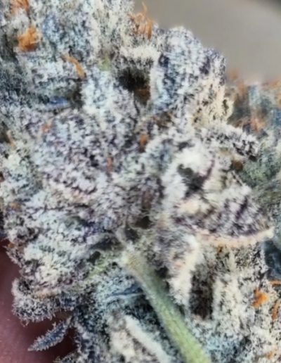 cannabis products