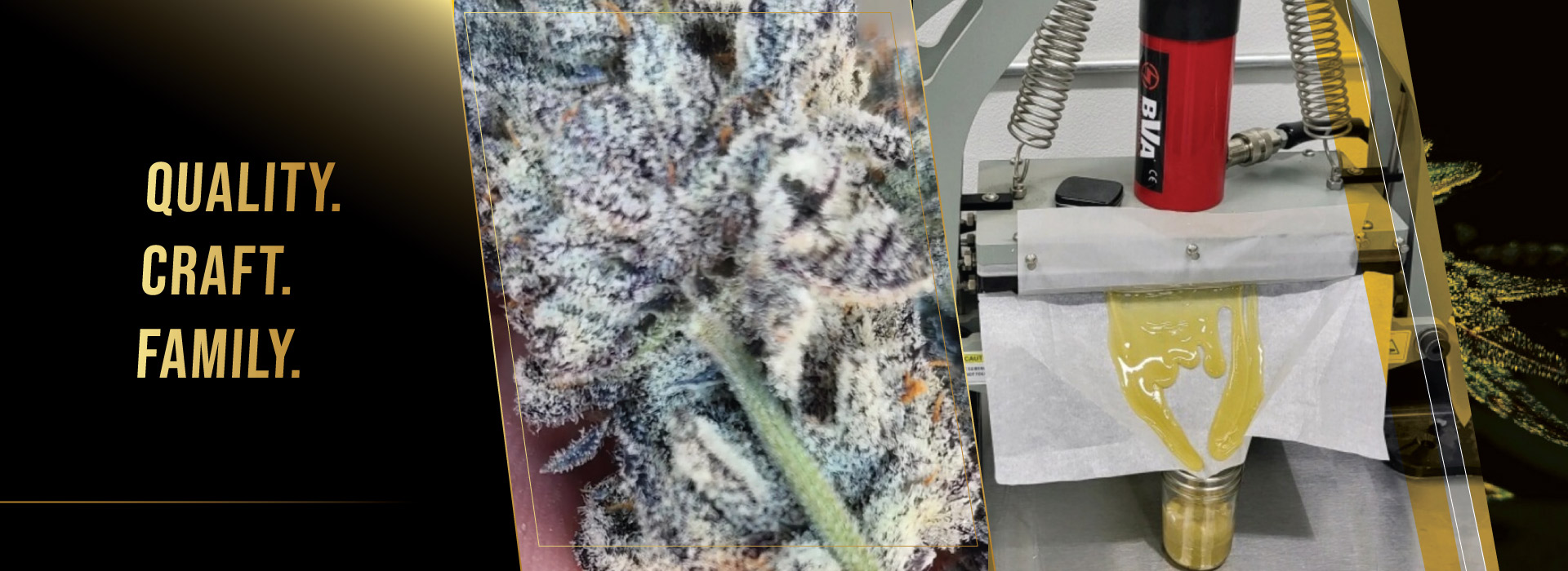 california-top-crop-cannabisAABB Quality Craft Family